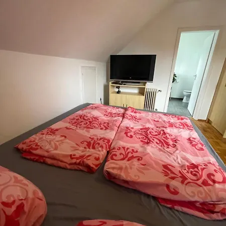Apartment Zentral *